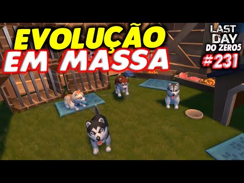 EVOLUÇÃO EM MASSA DE CACHORROS - LAST DAY DO ZERO 5 #231