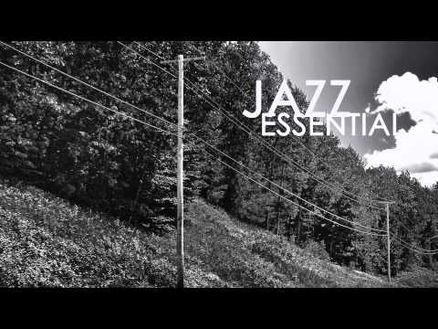 Joo Kraus - Free Fall // JazzONLYJazz