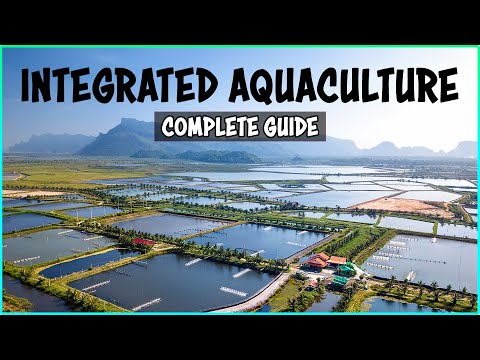 Integrated Aquaculture Farming System and Aquaponics