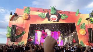 Sunflower BH 2018 - KVSH - Suavemente