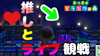 【あつ森】好きな住民とライブ観戦するすごい方法見つけたｗｗｗ【あつまれどうぶつの森】【島クリエイター】