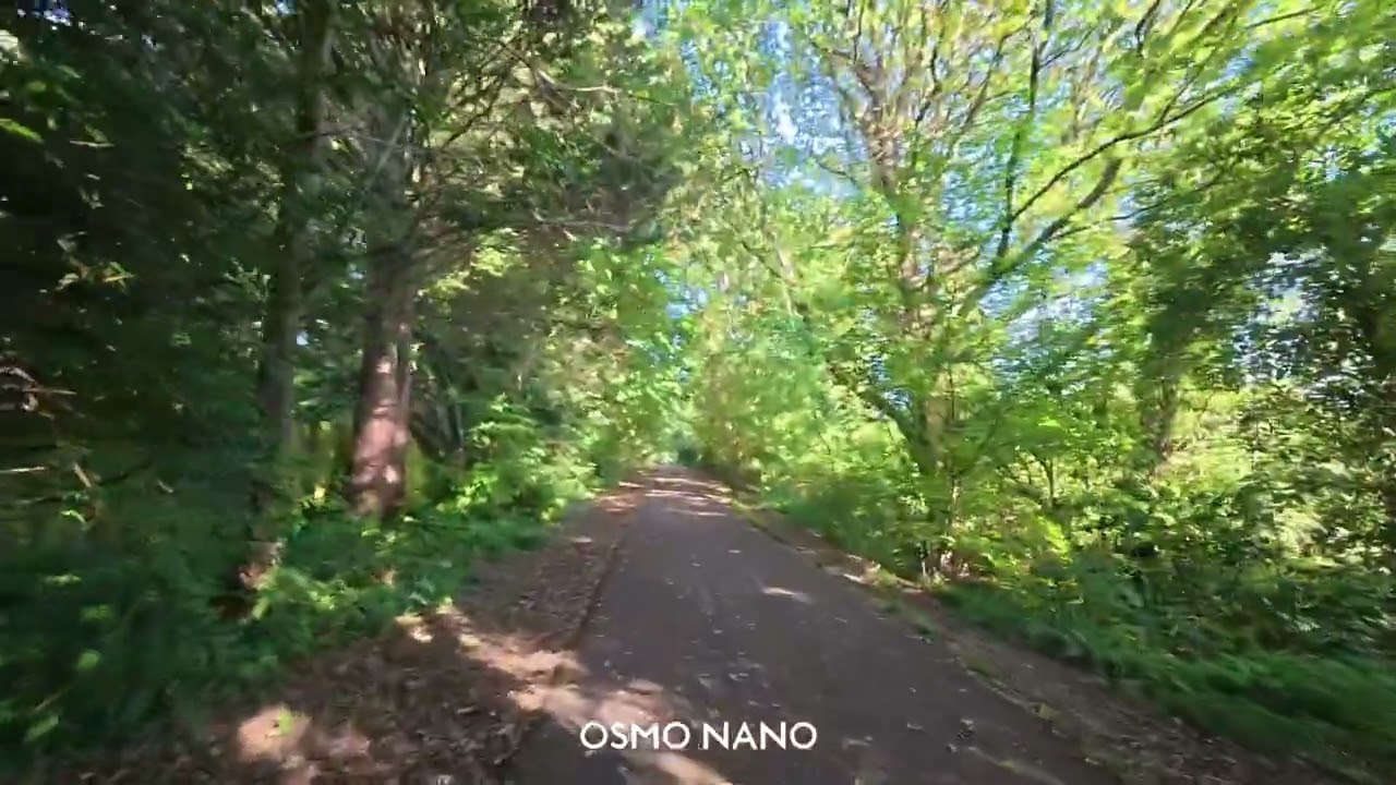 DJI Osmo Nano — 4K @ 60fps (Walking pendant footage) - YouTube