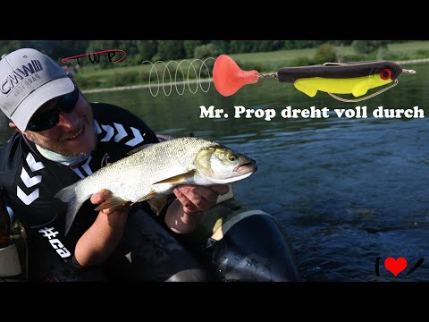 Unfassbar was dieser Köder alles kann - Mr. Prop dreht voll durch
