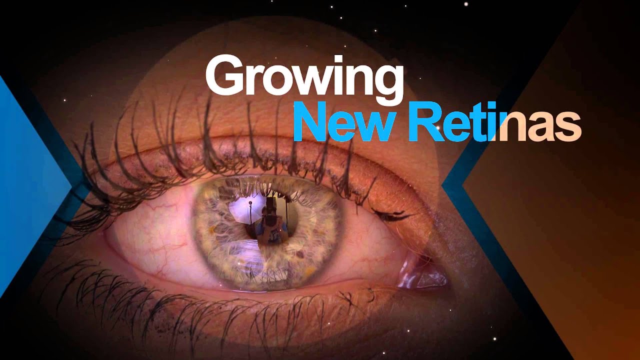 2014 Research Highlights from Johns Hopkins Medicine