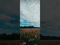 PUCHE YE TU KI TUJHME ME KYA DEKHTA HU Lyrics Musicgenre Music Song Anuvjain Musicstyle