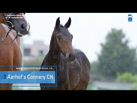 03 Conthargos x Caretino