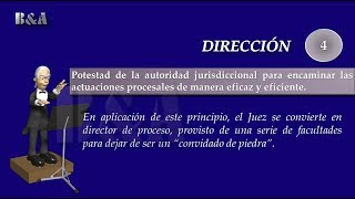 Principio de Dirección