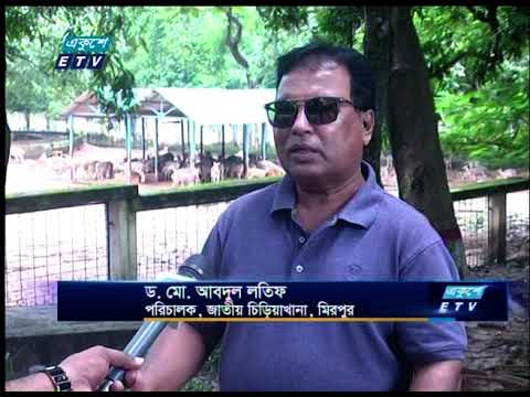 চিড়িয়াখানার আধুনিকায়নে পনেরোশ থেকে দুই হাজার কোটি টাকা ব্যয়ে প্রকল্প নেয়া হচ্ছে