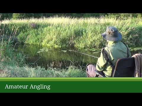 Bread flake or paste for summer Roach