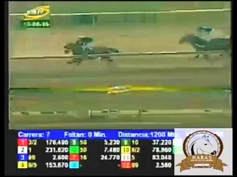 VALENCIA 7 CARRERA, VIERNES 15 DE ABRIL DEL 2016