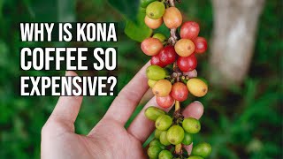 Kona Coffee Farm Tour at Mountain Thunder Coffee Planation - Why is Kona Coffee So Expensive?