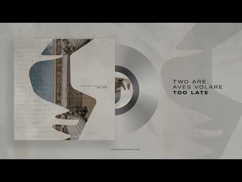 Two Are, Aves Volare - Too Late (Original Mix)