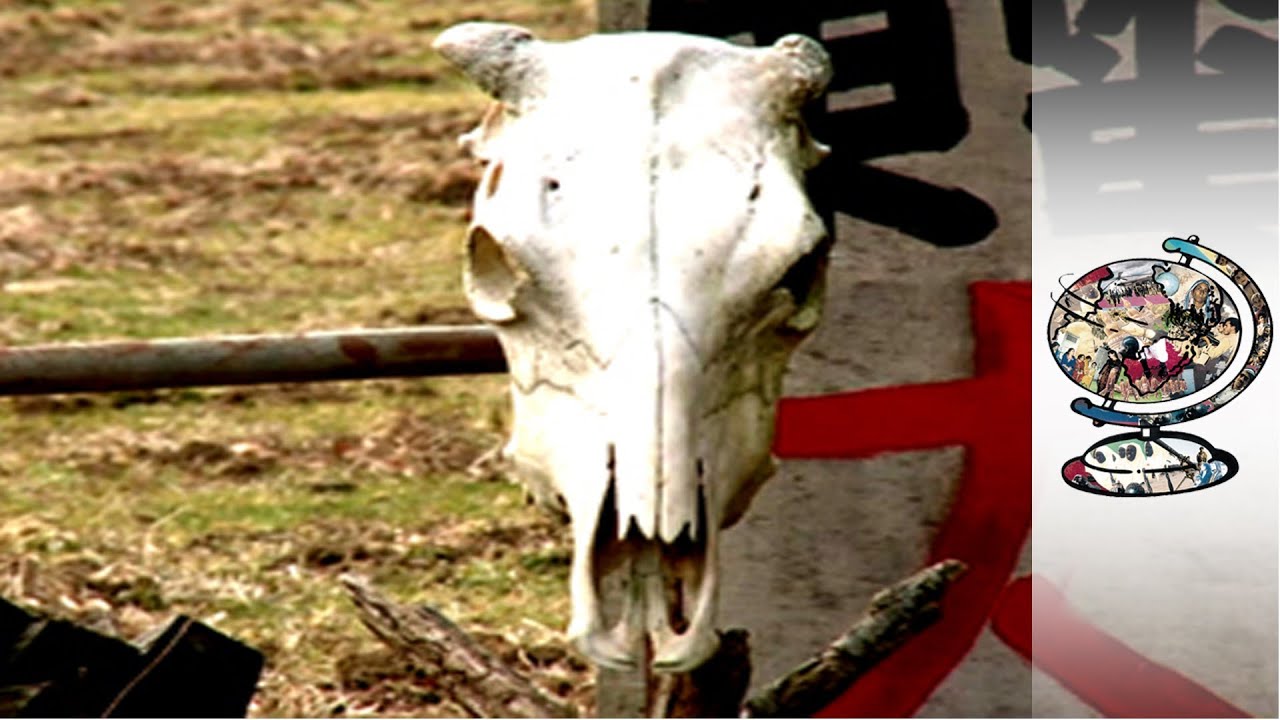 Fukushima Now – What has happened to the People?
