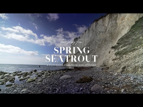 Scandinavian Sea Trout - Fly Fishing in Denmark,Sweden and Norway in one week for searun Brown Trout