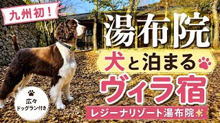 【犬連れ湯布院】九州初レジーナリゾート宿泊記|広々ドッグラン付きヴィラ【イングリッシュスプリンガースパニエル】