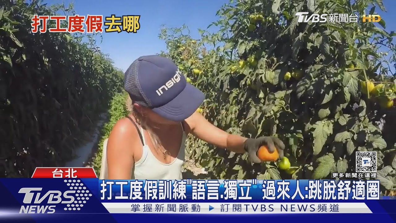 台灣青年選打工度假「這2國」熱門 過來人建議:跳脫舒適圈