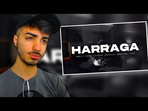 😰 MOIS x YONII x SCHUBI x MAESTRO x ERSONIC - HARRAGA REACTION