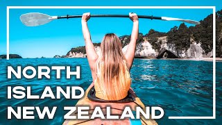 The BEST Of North Island New Zealand With The Stray Bus 🇳🇿 (Inc Hobbiton!) | Stoked For Travel