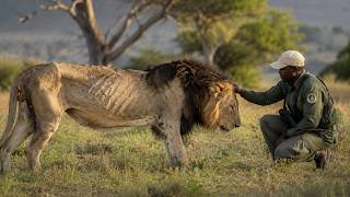 Animals That Asked People for Help & Kindness!