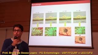 Fenologia das Plantas e a Performance dos Herbívoros: Bruno Lopes UFU/USP