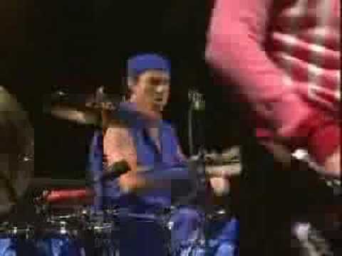 Fox On The Run - Red Hot Chili Peppers