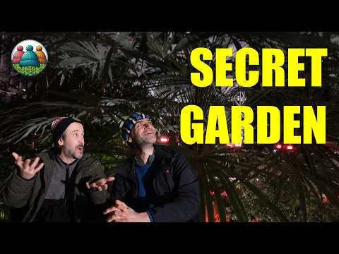 We Found Every Houseplant You Own... But 40 Meters Tall!