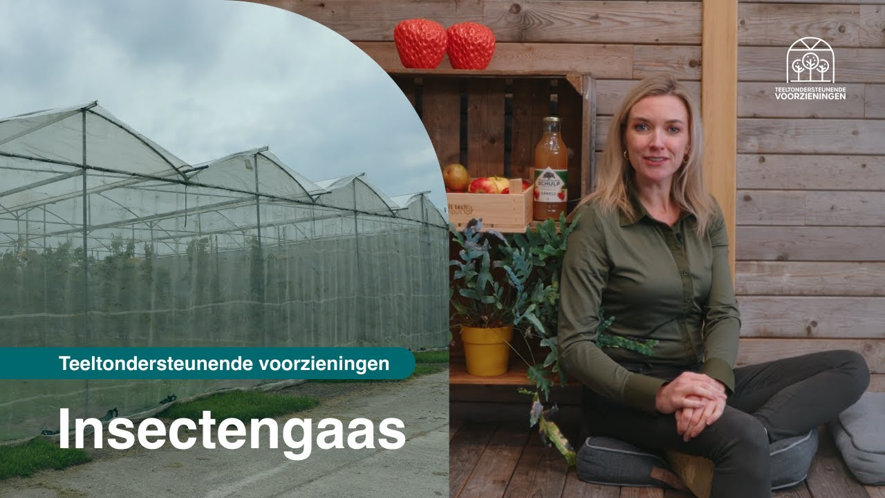 Videostill: insectengaas rond een perceel