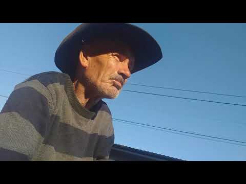 Aiurică zis Celentano de Moara domnească.