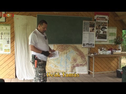 a piócák segítenek a visszerek visszérében