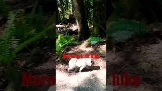 Download lagu LOVE YOU SO King Khan The BBQ Show ft Jacob the Pug #kingkhan #bbq #rockmusic #rockstar #indie #oned mp3