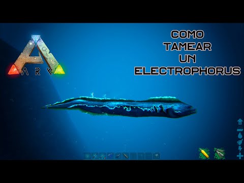 Como tamear un Electrophorus de manera fácil y rápida En Ark: Survival Evolved