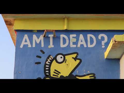 Foreign Air - The Madness (Official Visualizer)