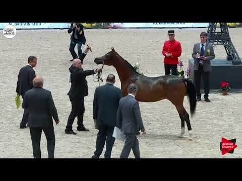 N.88 PARILLUS - Paris 2018 - Yearling Colts (Class CM 4A)
