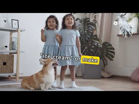 Can dogs eat ice cream safely?