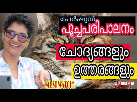 Relevant Questions And Answers On Persian Cat Raising | Cats Health | Nandan Pets&Us | Vanaja Subash