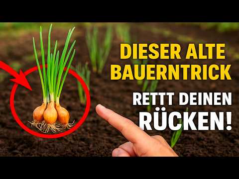This old farmer's trick for planting winter onions will save your back! 🌱 No squats or bending