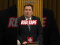 Red tape is the problem, not the solution