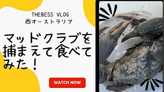 西オーストラリア/マッドクラブを捕まえて食べてみた！