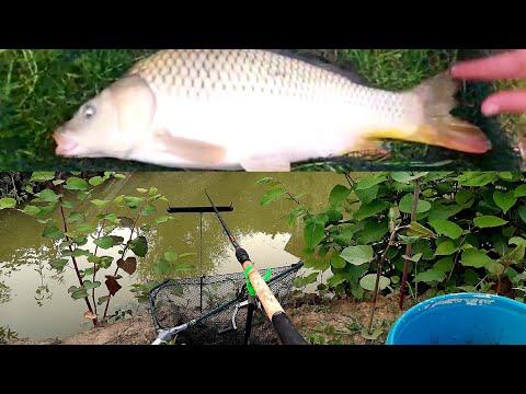 FISHING IN THE POND AT HOME! SUPER DRILL