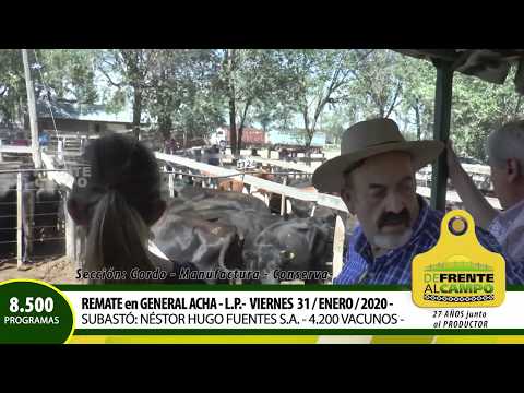 DE FRENTE AL CAMPO junto al SECTOR PRODUCTIVO - REMATE ACHA -GORDO-MANUFACTURA -