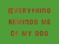 Everything reminds me of my dog