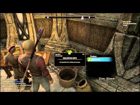 The Elder Scrolls Online:TESO-EP39-Ziggy cooks Guar Quiche. Festival of Defiance.Racism.