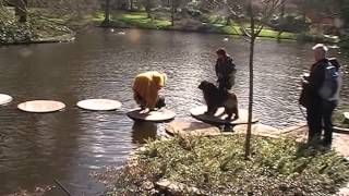 Keukenhof Gardens Netherlands Travel Tour | Netherlands Keukenhof Gardens Attraction Video