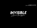 Zara Larsson - Invisible (Lyrics) (Slow Version) (From the Netflix Film Klaus)