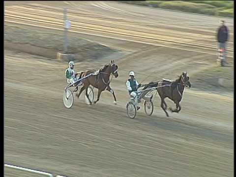 Trotto 07/04/2017 - prova pubblica