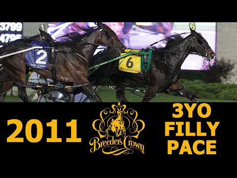 2011 Breeders Crown - Monkey on My Wheel - 3FP