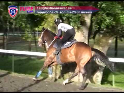 FLOREAL NEWS - RACE MEETING 24 (09.09.2016)