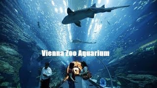 Viyana Hayvanat Bahçesi Akvaryumu