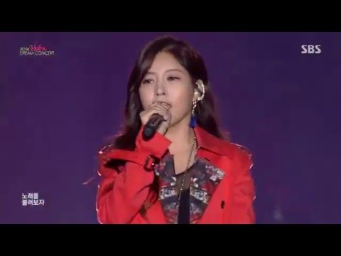 141012 T-ARA 소연, 4Minute 지윤, Secret 지은, KARA 영지 - 신라의 달밤 @ 2014 Hallyu Dream Concert