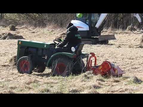 Artenschutzmaßnahme Wiesenknopf-Ameisenbläuling